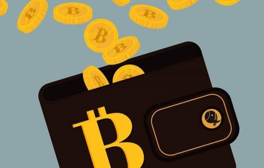 Украинец создал криптовалютный кошелек, который позволяет купить биткоин за гривну