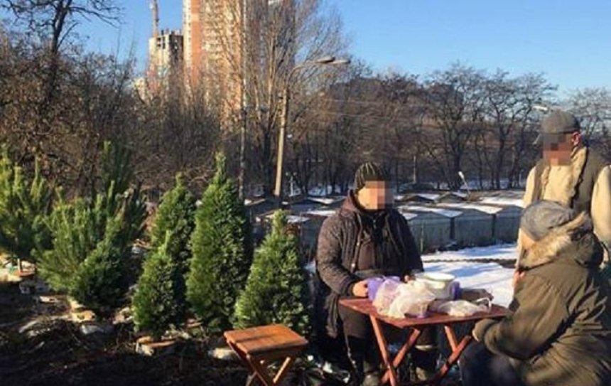 В Соломенском районе остановили продажу нелегальных елок (фото)
