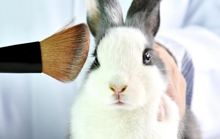 В Украине хотят запретить тестирование косметики на животных