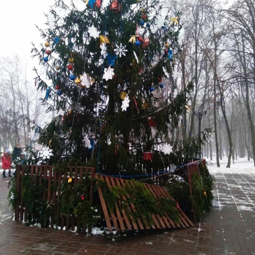 В Святошинском районе Киева вандалы испортили елки