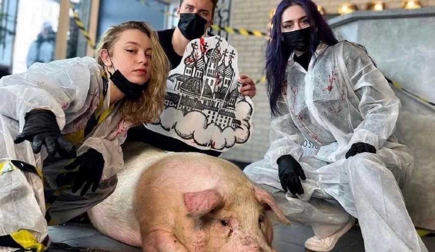 В киевский тату-салон привели свинью, чтобы набить купола: на это отреагировали зоозащитники