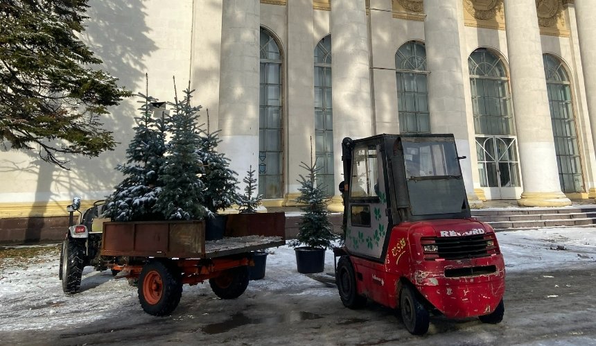 На ВДНГ висадили понад 20 іменних ялинок: фото