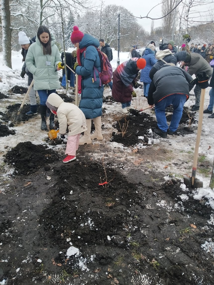 15 грудня у Голосіївському парку Києва висадили 53 кущі калини на згадку про вбитих в Оленівці воїнів бригади “Азов”