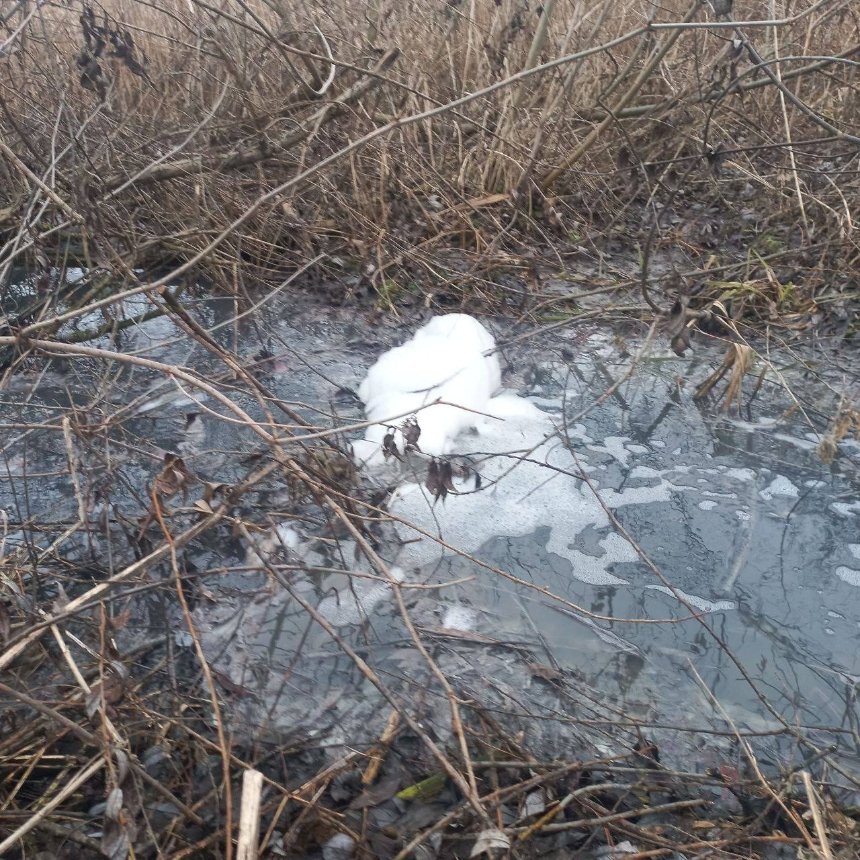 Водоканал на Київщині забруднив річку хімікатами — екологи 