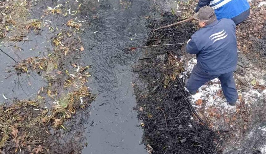 У Дарницькому районі Києва очистили озеро Зариваха: фото