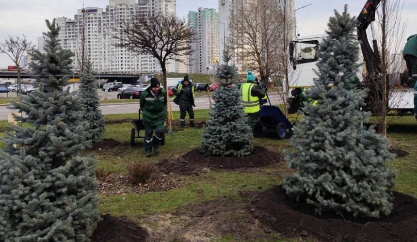 Біля станції метро “Осокорки” у Києві висадили ялини та сосни: фото