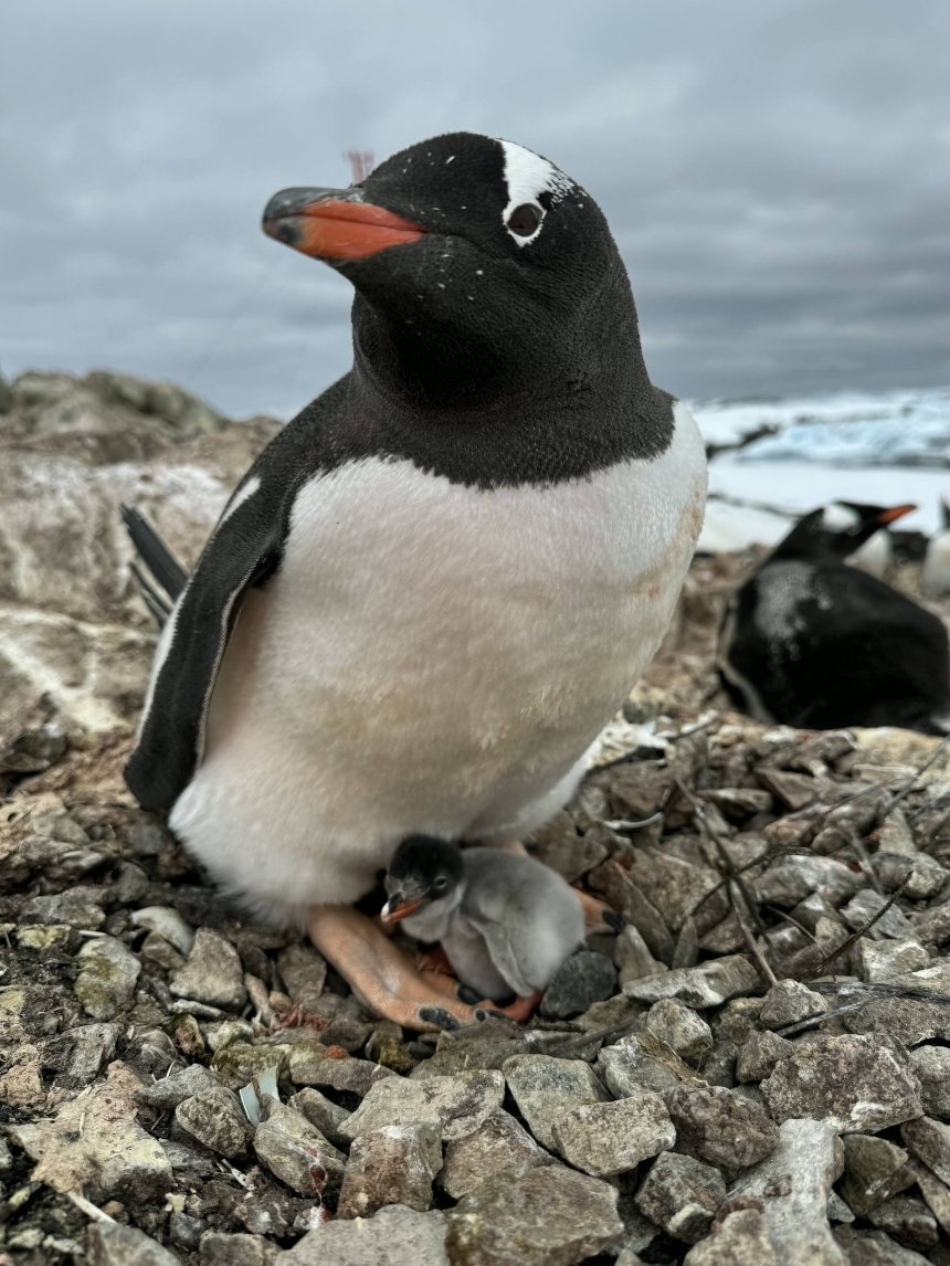 Фото: Зоя Швидка