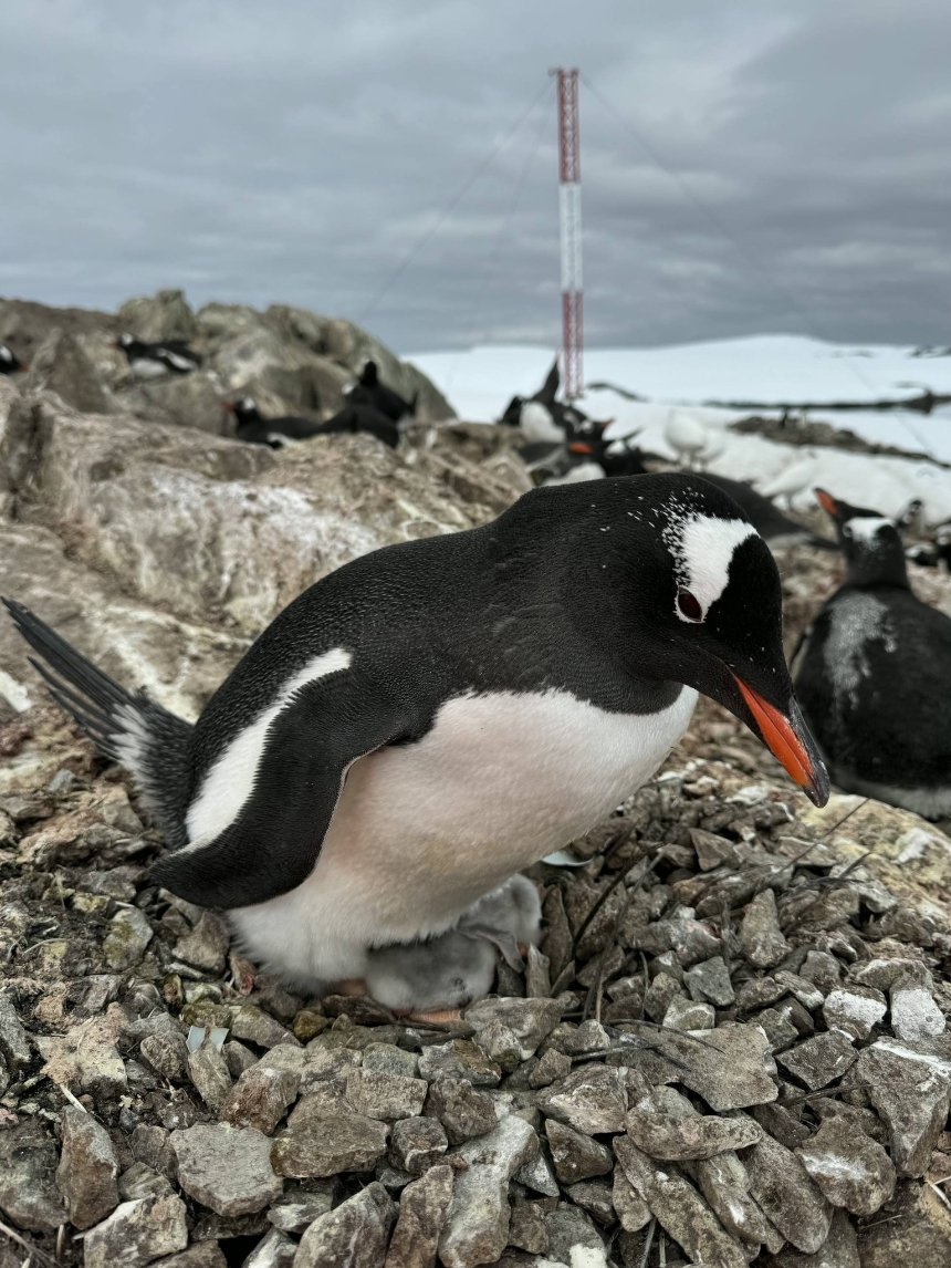 Фото: Зоя Швидка