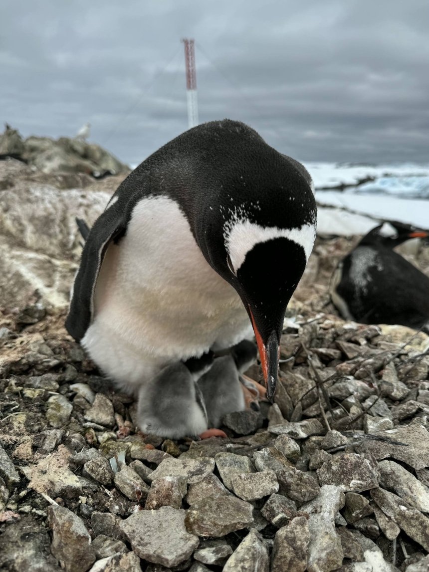 Фото: Зоя Швидка