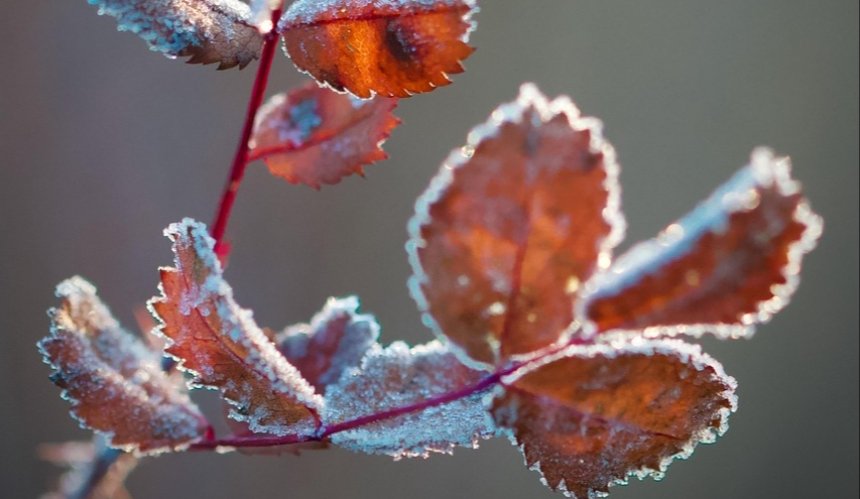 Прохолодно та без опадів: якою буде погода у Києві на вихідних