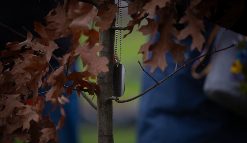 На Національному військовому меморіальному кладовищі висадили "Алею дубів": фото