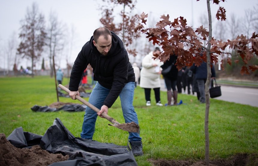 На Національному військовому меморіальному кладовищі висадили "Алею дубів"
