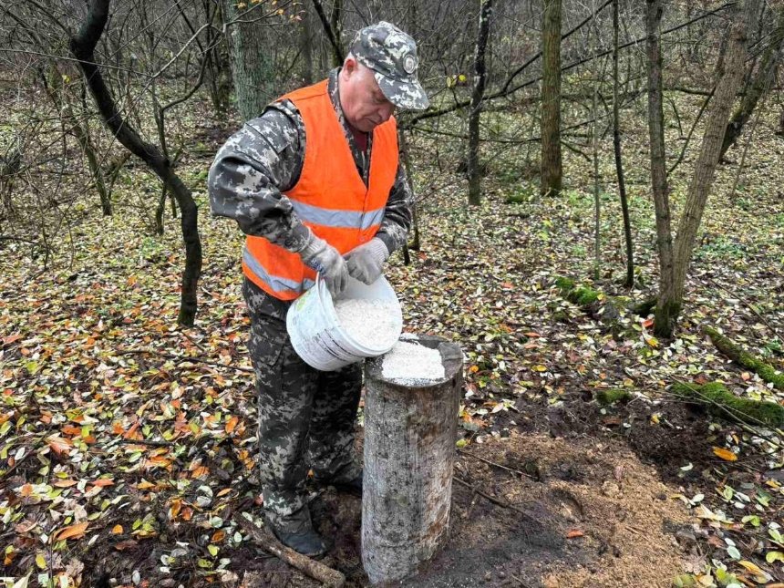 У лісах Києва облаштували 45 годівниць