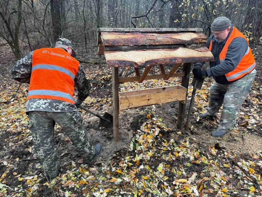 У лісах Києва облаштували 45 годівниць