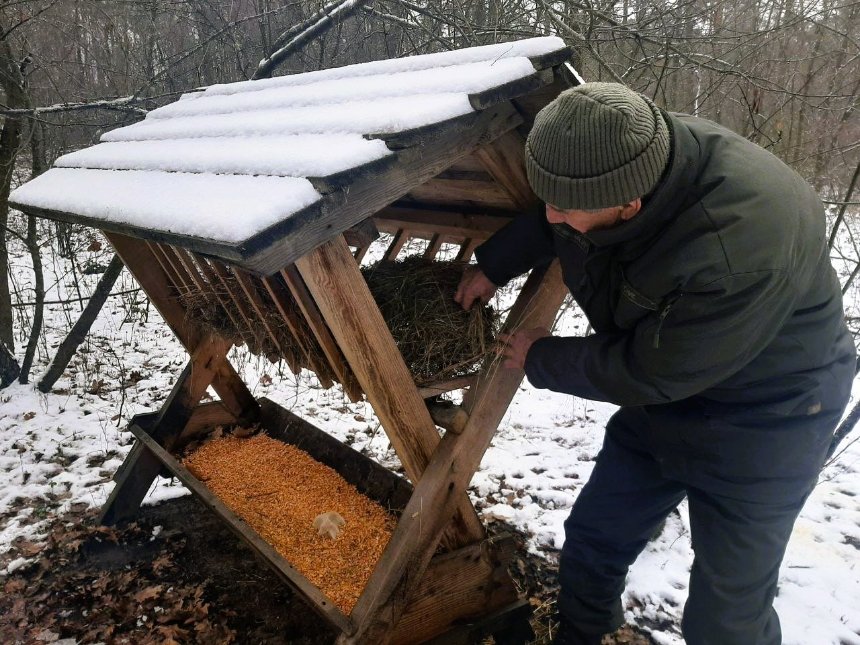 У лісах Києва облаштували 45 годівниць