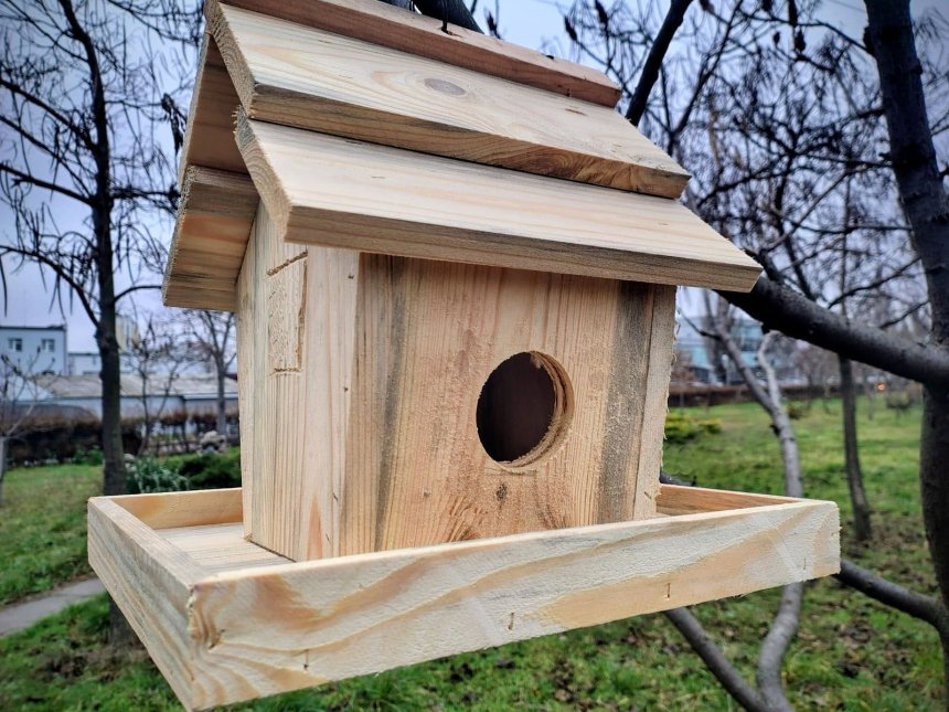 У парках Києва встановили годівнички для птахів У парках Києва встановили годівнички для птахів