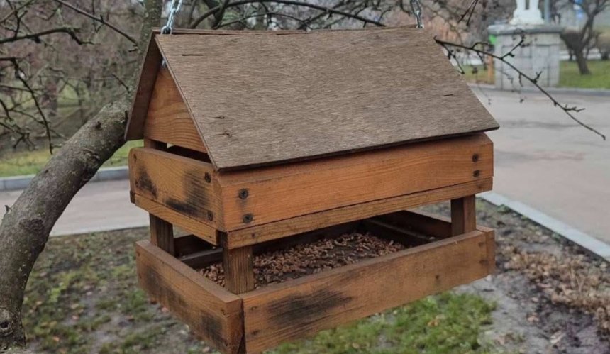 У парках Києва встановили годівнички для птахів: як правильно підгодовувати пернатих