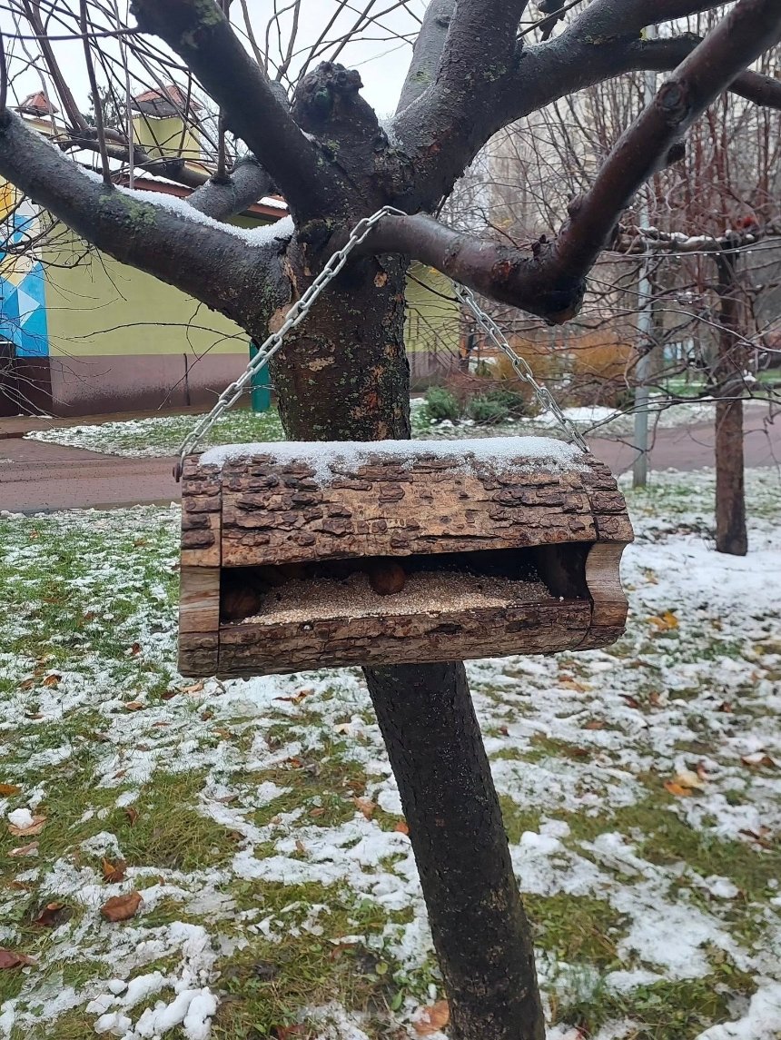 У парках Києва встановили годівнички для птахів У парках Києва встановили годівнички для птахів