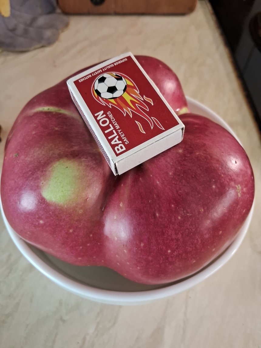 Фото: Лана Вєтрова