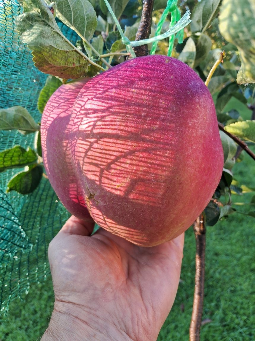 Фото: Лана Вєтрова