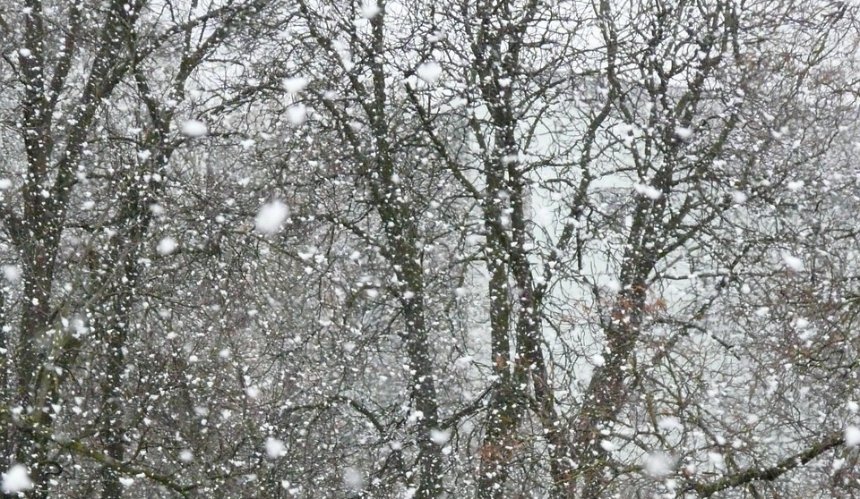 Штормове попередження: Київ накриють хуртовини та сильний вітер