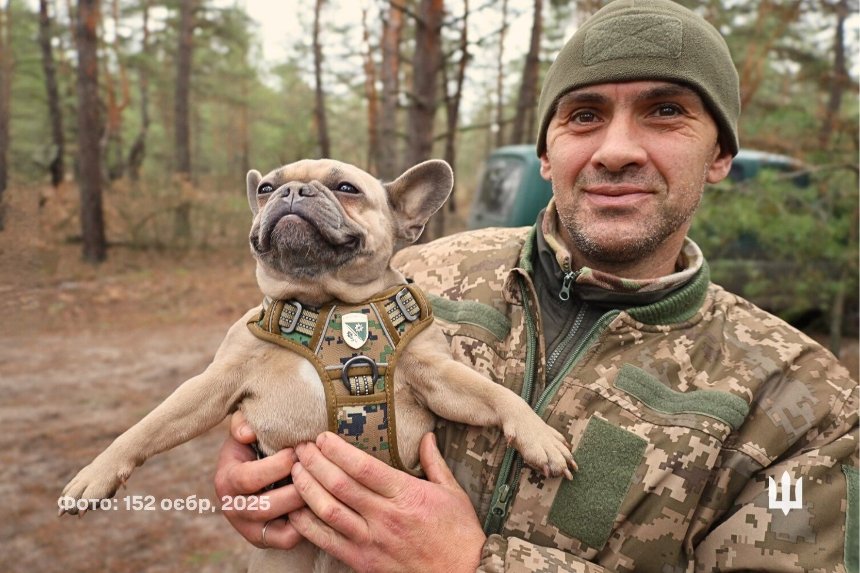 Як чотирилапі побратими допомагають військовим