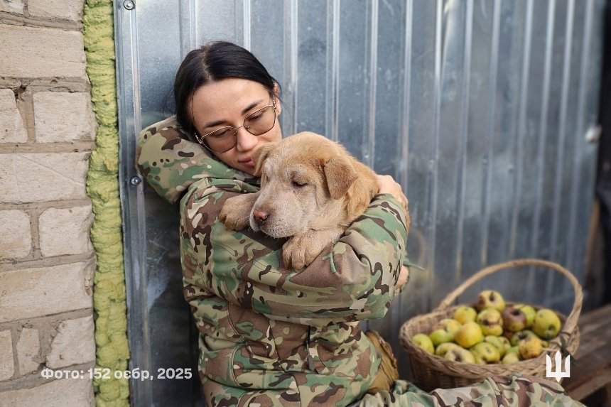 Як чотирилапі побратими допомагають військовим