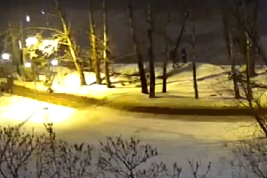 Провалились под лед: на Тельбине мужчина спас бабушку и девочку (видео)