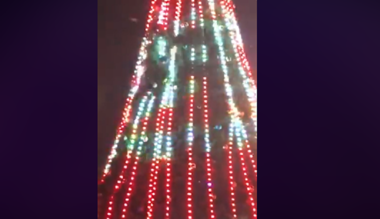 «Елколаз»: под Киевом мужчина залез на новогоднюю елку (видео)