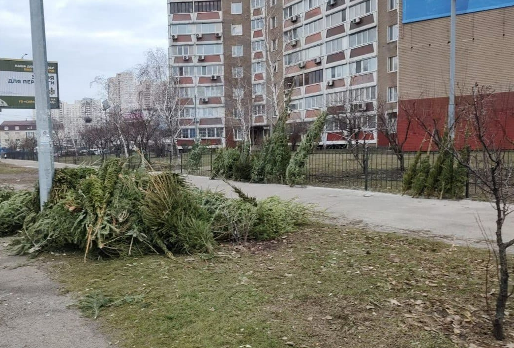 У Києві прибирають ялинки, які не продали на Новий рік
