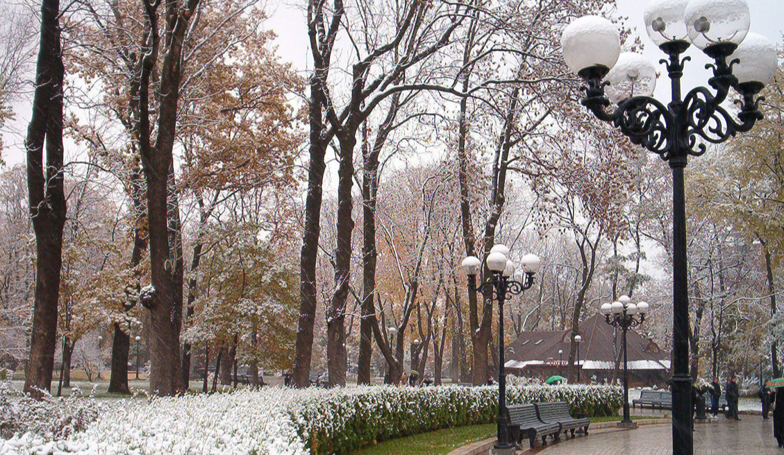 У "Києві Цифровому" запустили опитування про найменування парку та скверу у Подільському та Шевченківському районах.