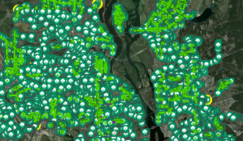 У Києві створюють онлайн-мапу дерев: скільки насаджень вже оцифрували