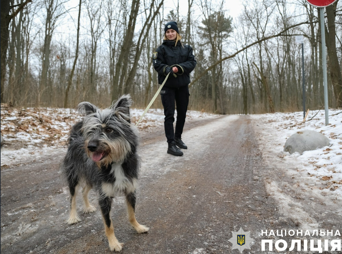 Поліція Києва відвідала притулок для тварин на ВДНГ: фото