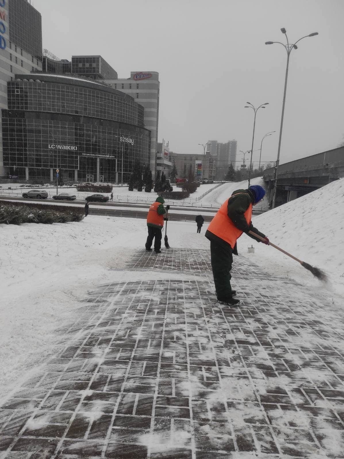 Фото: Київзеленбуд