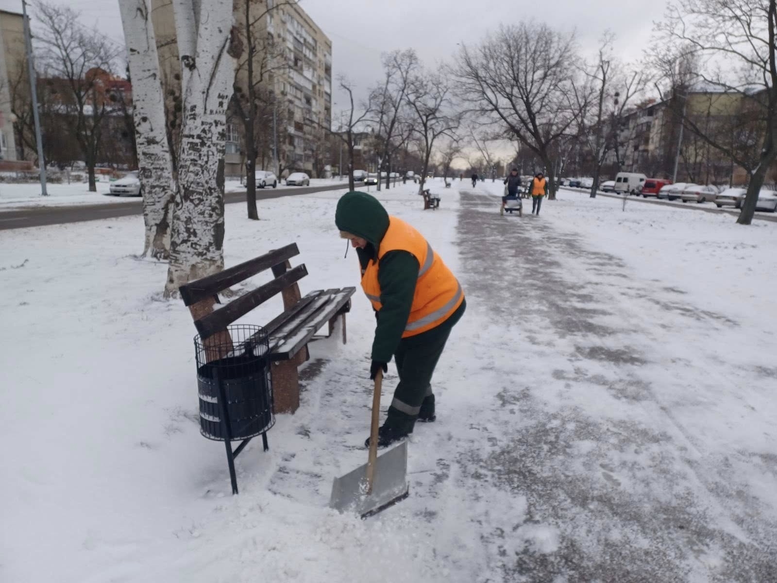 Фото: Київзеленбуд