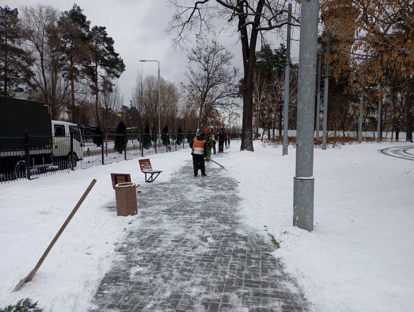 Фото: Київзеленбуд