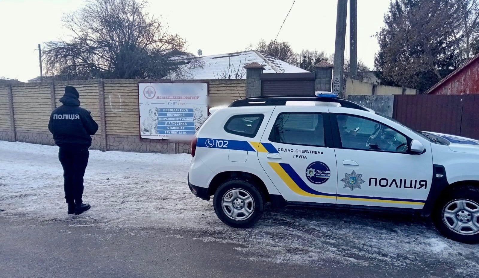 Кинула кошеня об стіну: на Київщині розслідують жорстоке поводження з тваринами