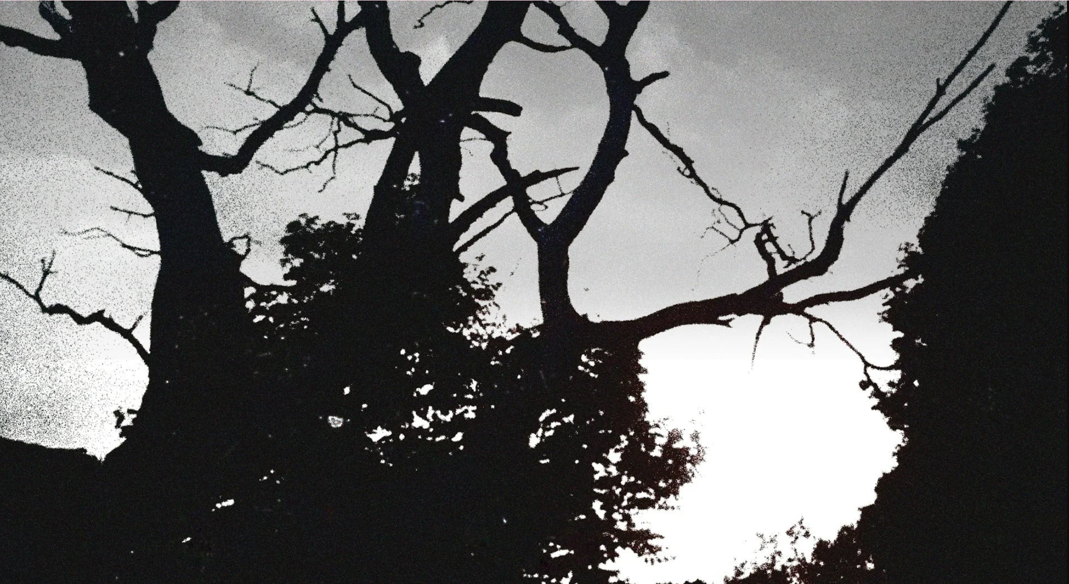 Концерт ВІЙ Концерт ВІЙ