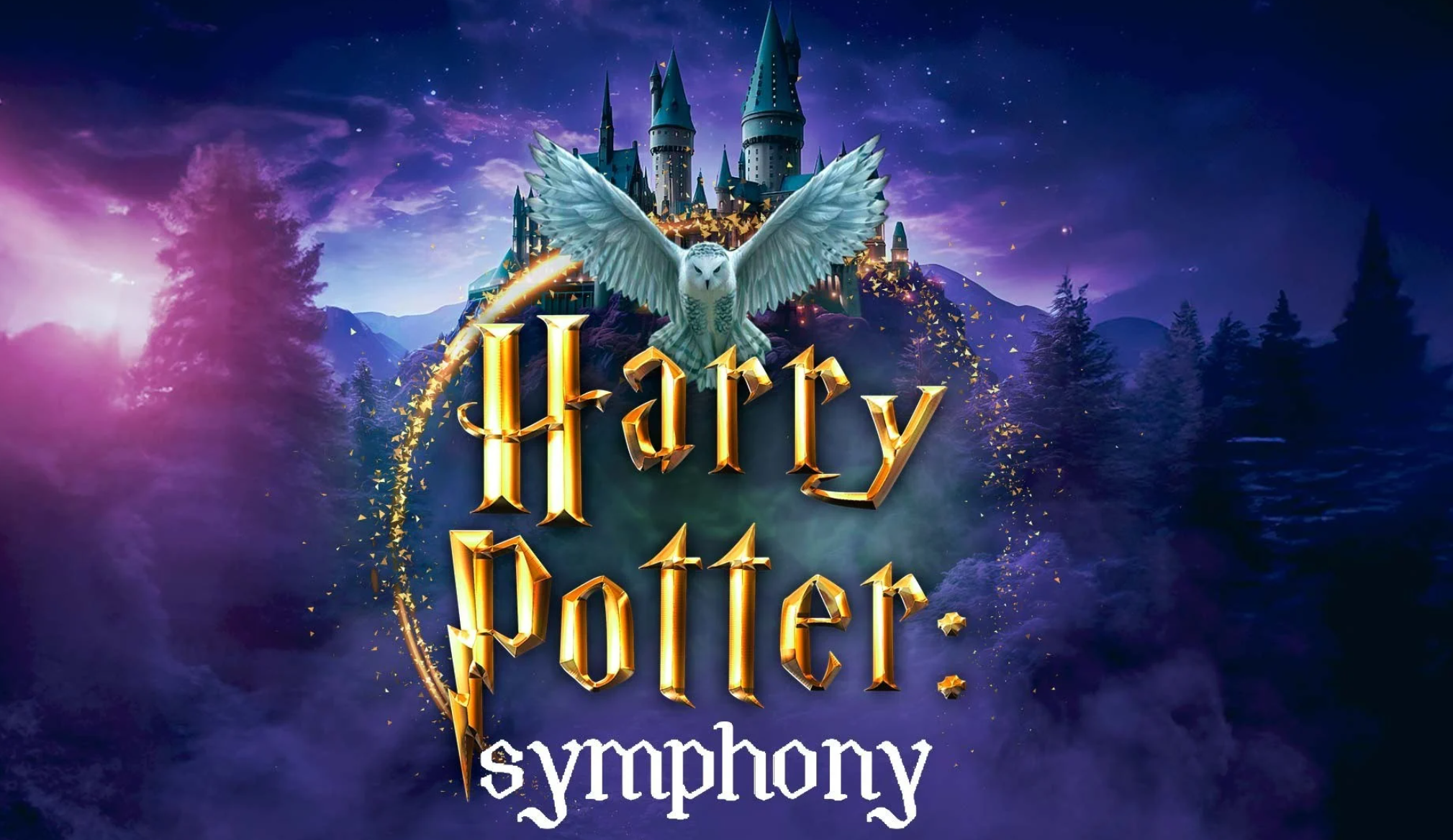 Концерт The Harry Potter Symphony Концерт The Harry Potter Symphony