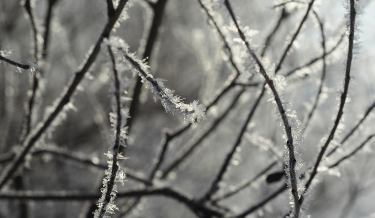 Невеликий сніг, мороз до -18: якою буде погода у Києві на вихідних