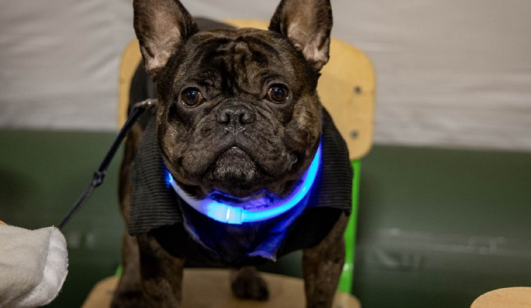 Відкриті для всіх, хто потребує підтримки: у Києві працюють мобільні Пункти незламності ДСНС