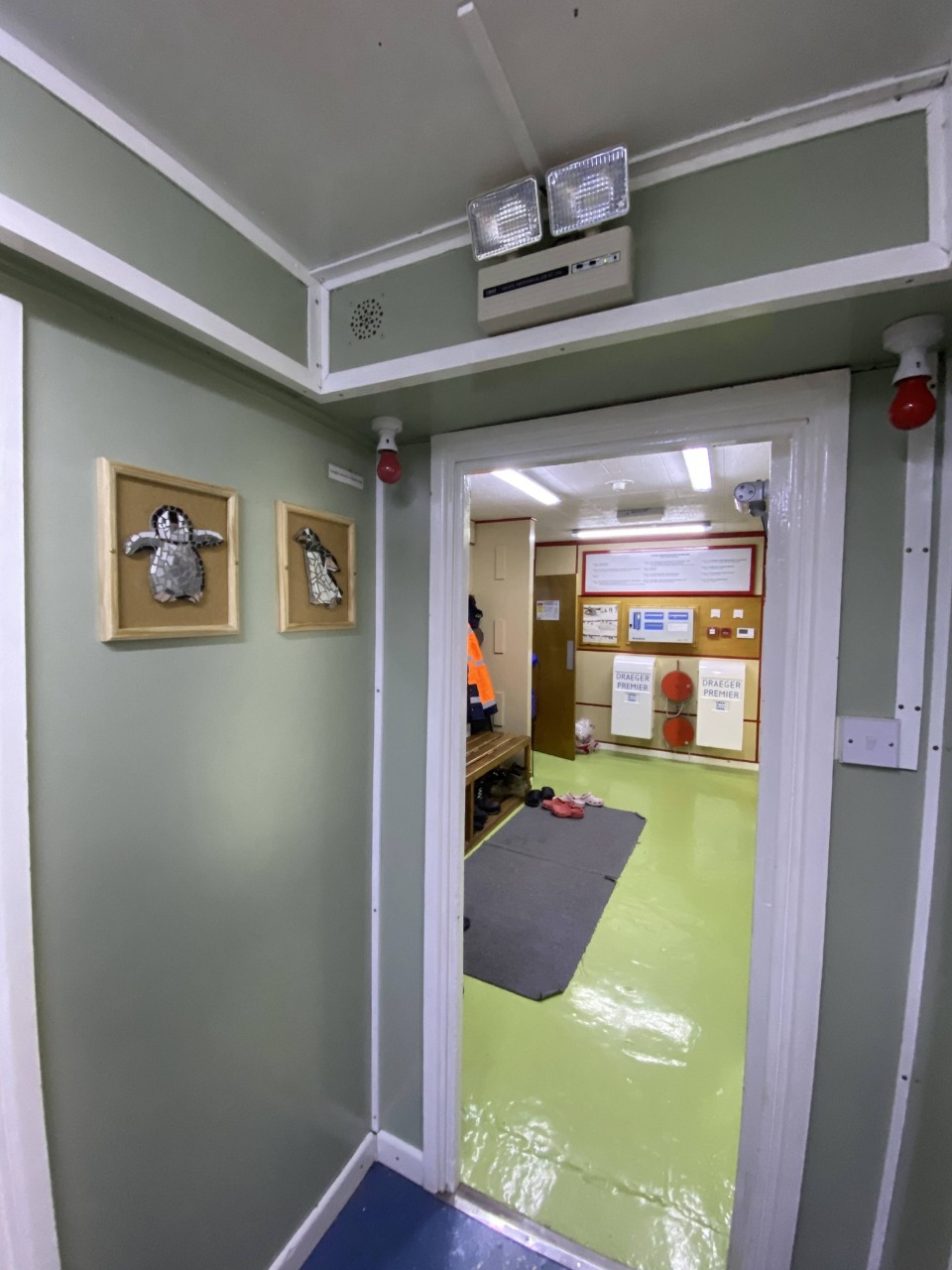 На станції "Академік Вернадський" з’явилися мозаїки з пінгвінами: фото