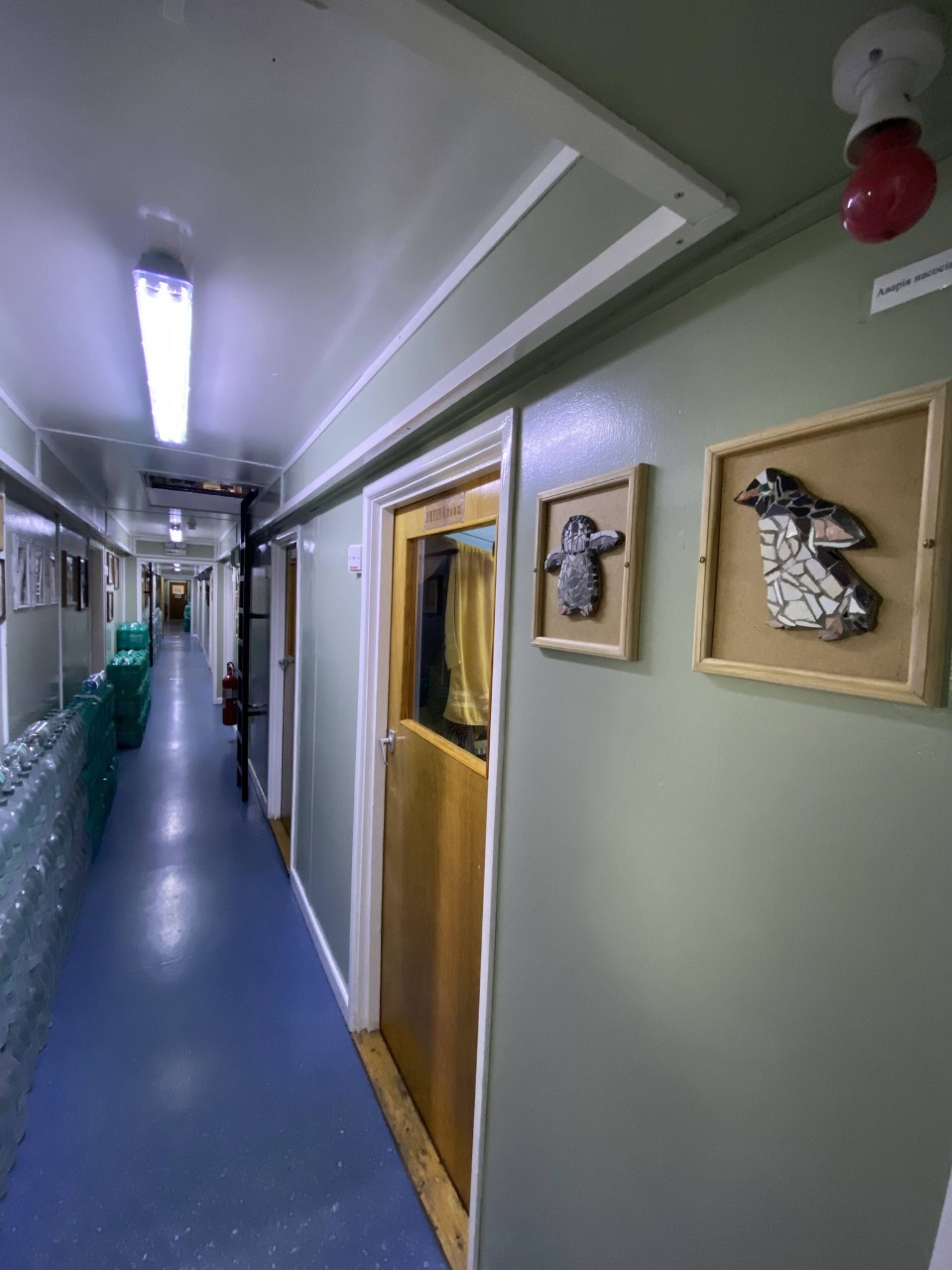 На станції "Академік Вернадський" з’явилися мозаїки з пінгвінами: фото