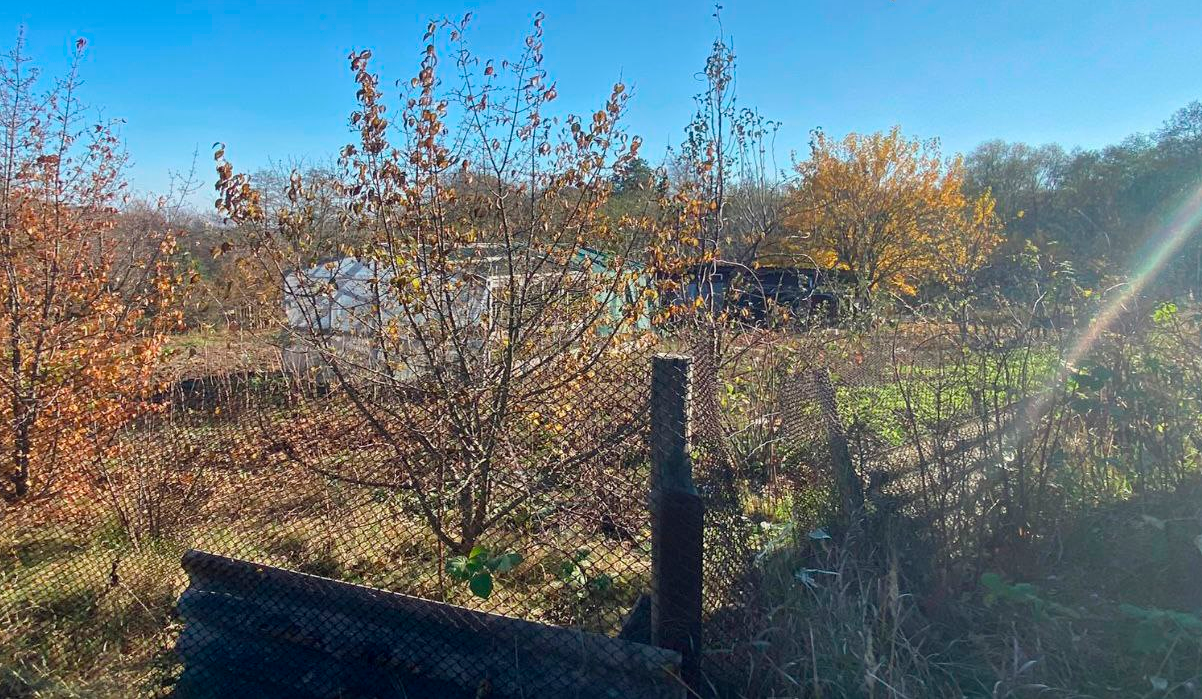 Підприємиця захопила ділянку у Голосіївському парку та звела там дачу — поліція