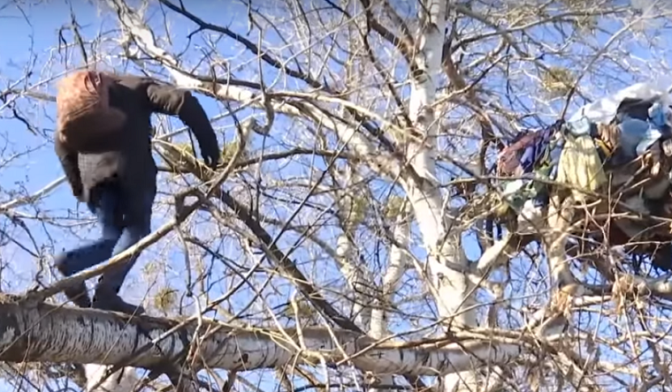 Бездомный мужчина поселился на дереве на Оболони (видео)