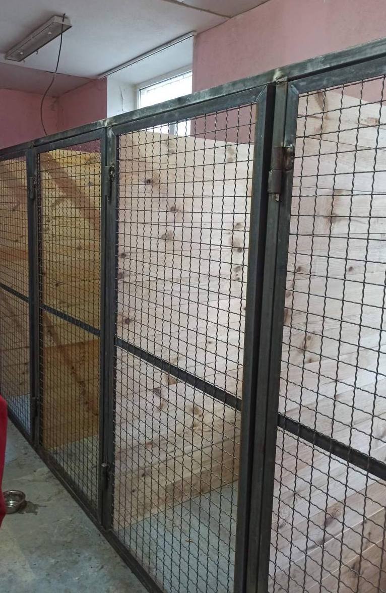 У Тимчасовому притулку для тварин “Виставковий центр” побудували нові вольєри