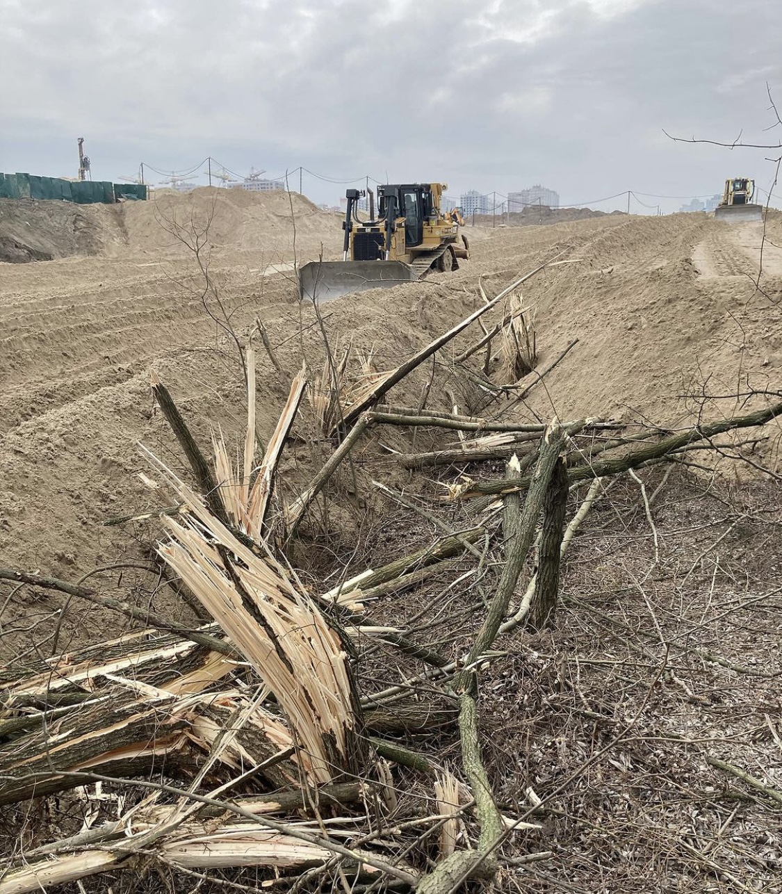 Забудовник знищує ліс на території екопарку “Осокорки”