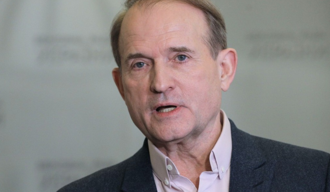 Державі повернули 24 гектари лісу на Київщині, які незаконно передали родині Медведчука