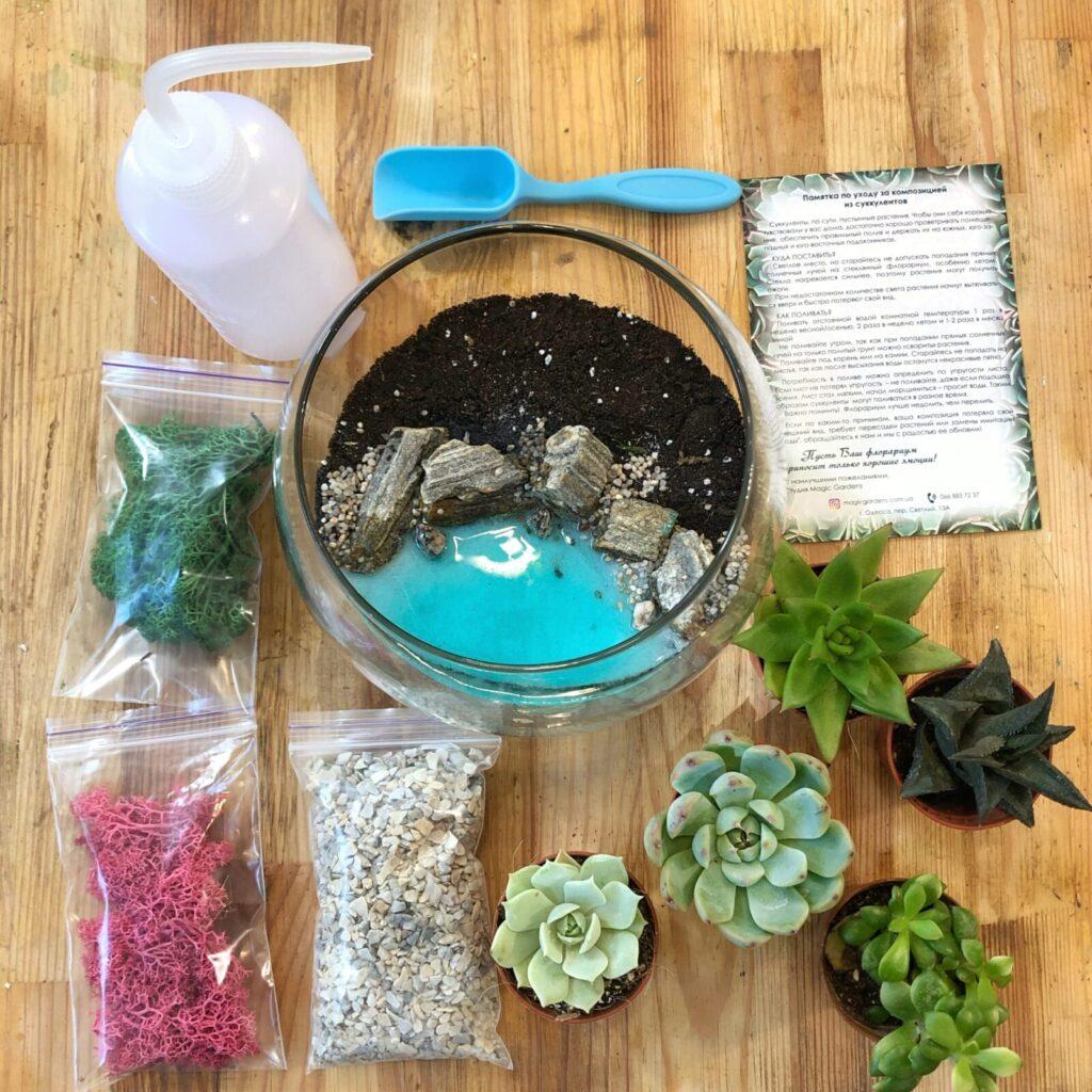 Набір для створення флораріуму