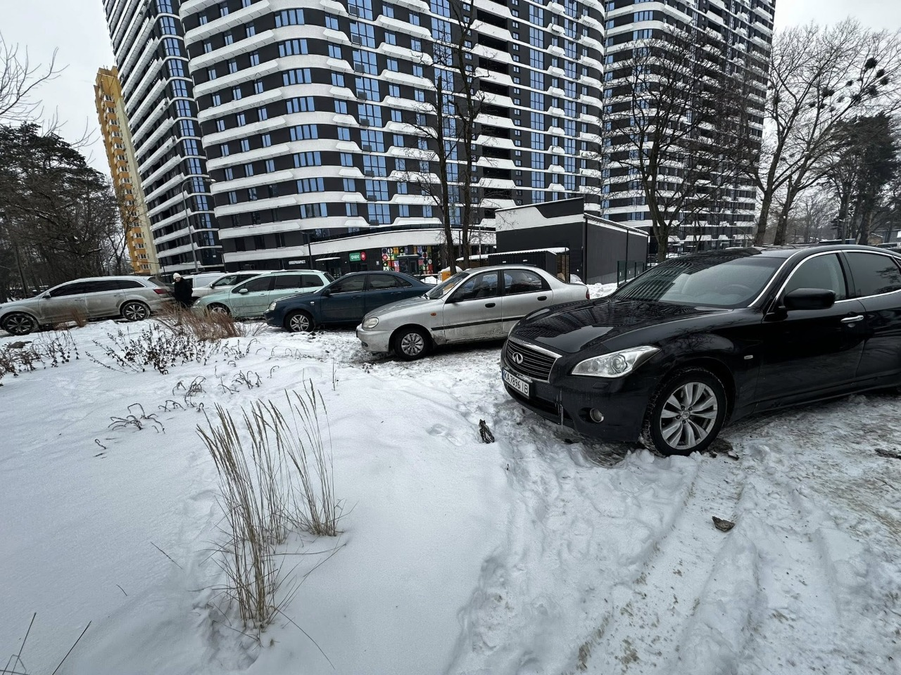 Дощовий садок на Воскресенці у Києві рятують від незаконного паркування: фото